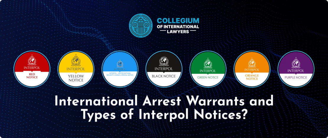 Interpol's Role in Financial Operations Control 374543407